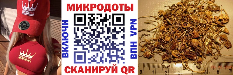 Галлюциногенные грибы MAGIC MUSHROOMS Балахна